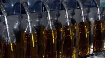 Zeytinyağı İhracatı Kız Kesti