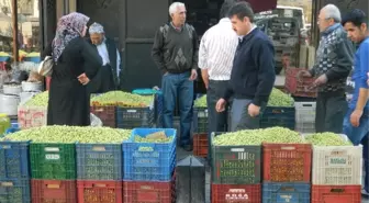 Kışlık Yeşil Zeytin Tezgahtaki Yerini Aldı