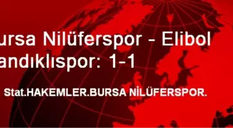 Bursa Nilüferspor - Elibol Sandıklıspor: 1-1