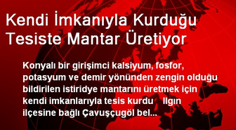 Kendi İmkanıyla Kurduğu Tesiste Mantar Üretiyor