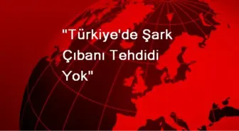 'Türkiye'de Şark Çıbanı Tehdidi Yok'