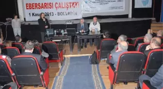 Bolvadin'de Eber Sarısı Çalıştayı