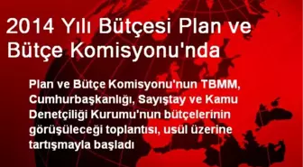 2014 Yılı Bütçesi Plan ve Bütçe Komisyonu'nda