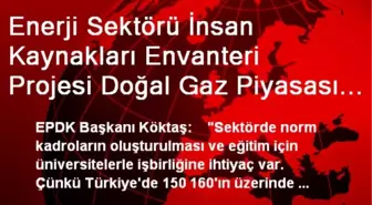 Enerji Sektörü İnsan Kaynakları Envanteri Projesi Doğal Gaz Piyasası Sonuç Raporu