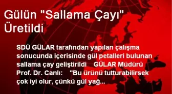 Gülün 'Sallama Çayı' Üretildi