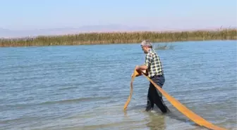 Soğuk Sular Beyşehir Gölü'nün Balıklarını Tehdit Ediyor