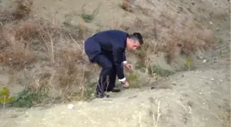 Ağrı'da Fidan Dikimi