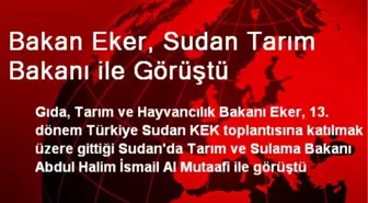 Bakan Eker, Sudan Tarım Bakanı ile Görüştü