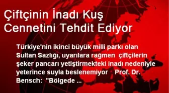 Çiftçinin İnadı Kuş Cennetini Tehdit Ediyor