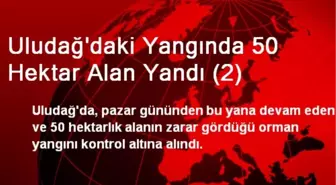 Uludağ'daki Yangında 50 Hektar Alan Yandı (2)