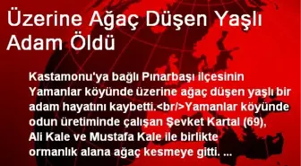 Üzerine Ağaç Düşen Yaşlı Adam Öldü