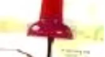 Kağıttan Kentler Kitabı Çıktı