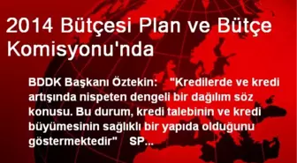 2014 Bütçesi Plan ve Bütçe Komisyonu'nda