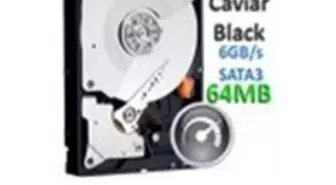 Western Digital 1 Tb Caviar Black Sata3 Hard Disk Wd1002faex