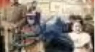 Geyikli Park Kitabı