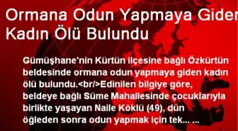 Ormana Odun Yapmaya Giden Kadın Ölü Bulundu