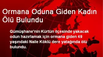 Ormana Oduna Giden Kadın Ölü Bulundu