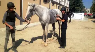Tjk'ya Apranti Başvuruları Devam Ediyor
