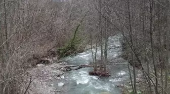 Akçay'ın Kolu Karagöl'e Hes İzni Çıktı