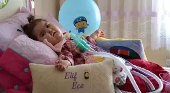 Elif Ece'yi Kaybettik