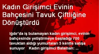 Kadın Girişimci Evinin Bahçesini Tavuk Çiftliğine Dönüştürdü