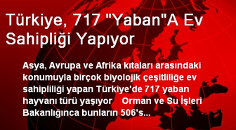 Türkiye, 717 'Yaban'A Ev Sahipliği Yapıyor