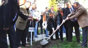 Türk, Yunan ve Bulgar Polis Teşkilatları Dostluk Ağacı Dikti
