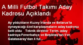 A Milli Futbol Takımı Aday Kadrosu Açıklandı