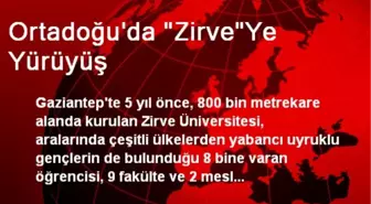 Ortadoğu'da 'Zirve'Ye Yürüyüş