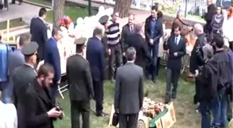 'Ellerde Hayat Bulan Ağaçlar' Projesi