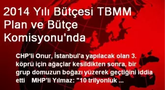 2014 Yılı Bütçesi TBMM Plan ve Bütçe Komisyonu'nda