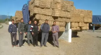 Havran'da Saman Pazarı Kuruldu