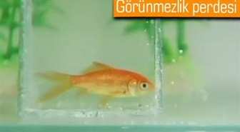 Kedi ve Japon Balığını Görünmez Yaptılar
