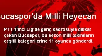 Bucaspor'da Milli Heyecan