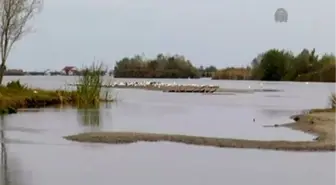 Yeşilırmak Deltası'nın değerleri kayıt altına alınacak