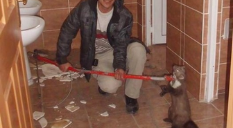 Şaşkın Sansar Sağlıkçıları Korkuttu