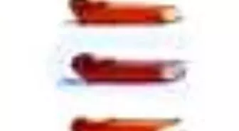 Desen mi Demesen mi Ruh Halleri Üzerine Kitabı Çıktı