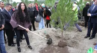 Her Öğrenci İçin Bir Fidan