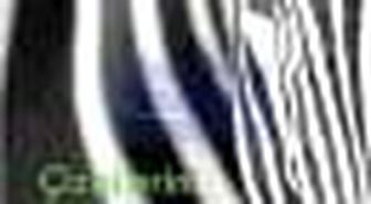 Çizgilerini Arayan Zebra Kitabı