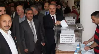 Giresun'da AK Parti'nin Temayül Yoklaması