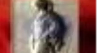 Kadın ve Kertenkele Kitabı