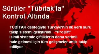 Sürüler 'Tübitak'la' Kontrol Altında