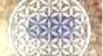 Rose Life Yaşam Çiçeği Kitabı