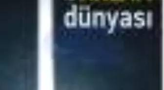 Bir Terapistin Hakikat ve Anlam Dünyası Kitabı