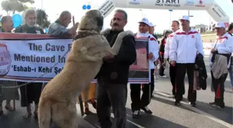 Boğaziçi Köprüsü'nden 100 Bin Kişi Geçti