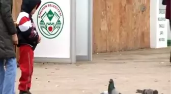 Çocuklarda inmemiş testis hastalığı gözden kaçırılmamalı