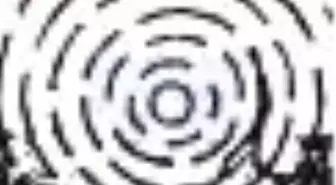 Güneşe Koşan Adam Kitabı