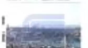 Sanat Dünyamız Sayı: 137 Kitabı