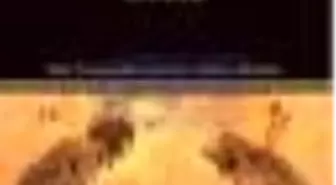 Lysis Kitabı Çıktı