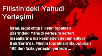 Filistin'deki Yahudi Yerleşimi